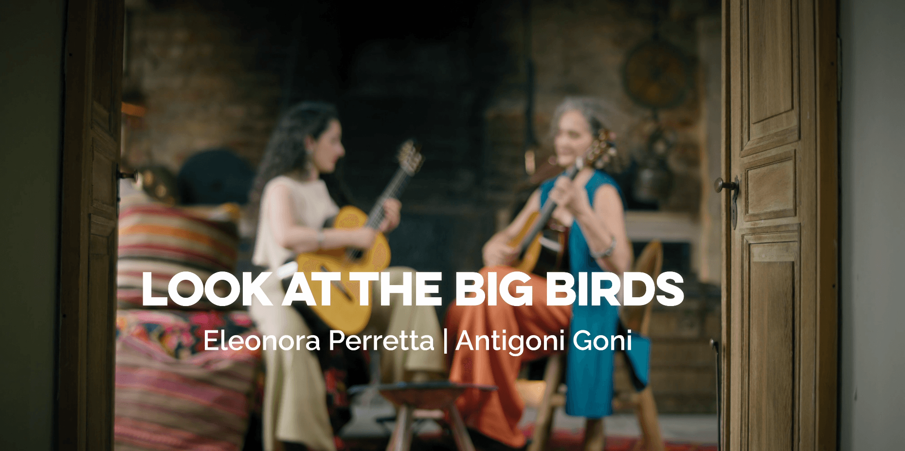 Look at the Big Birds